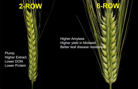 difference between 2 row and 6 rd.